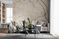 Cream and Black Marble Vein Wall Mural