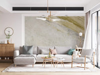 Golden Vein Marble Texture Wall Mural