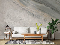 Cool Grey Marble Vein Surface Wall Mural