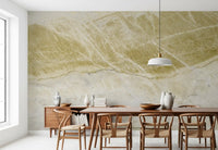 Golden Veined Stone Slab Wall Mural