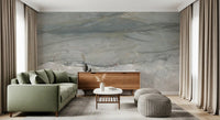 Cool Grey Stone Veins Wall Mural