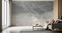 Cool Grey Marble Veined Stone Texture Wall Mural