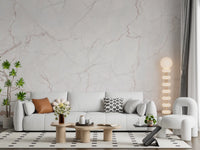 Subtle Blush Marble Veining Wall Mural