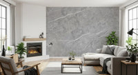 Classic Grey Marble Vein Wall Mural