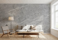 Classic Grey Marble Vein Wall Mural