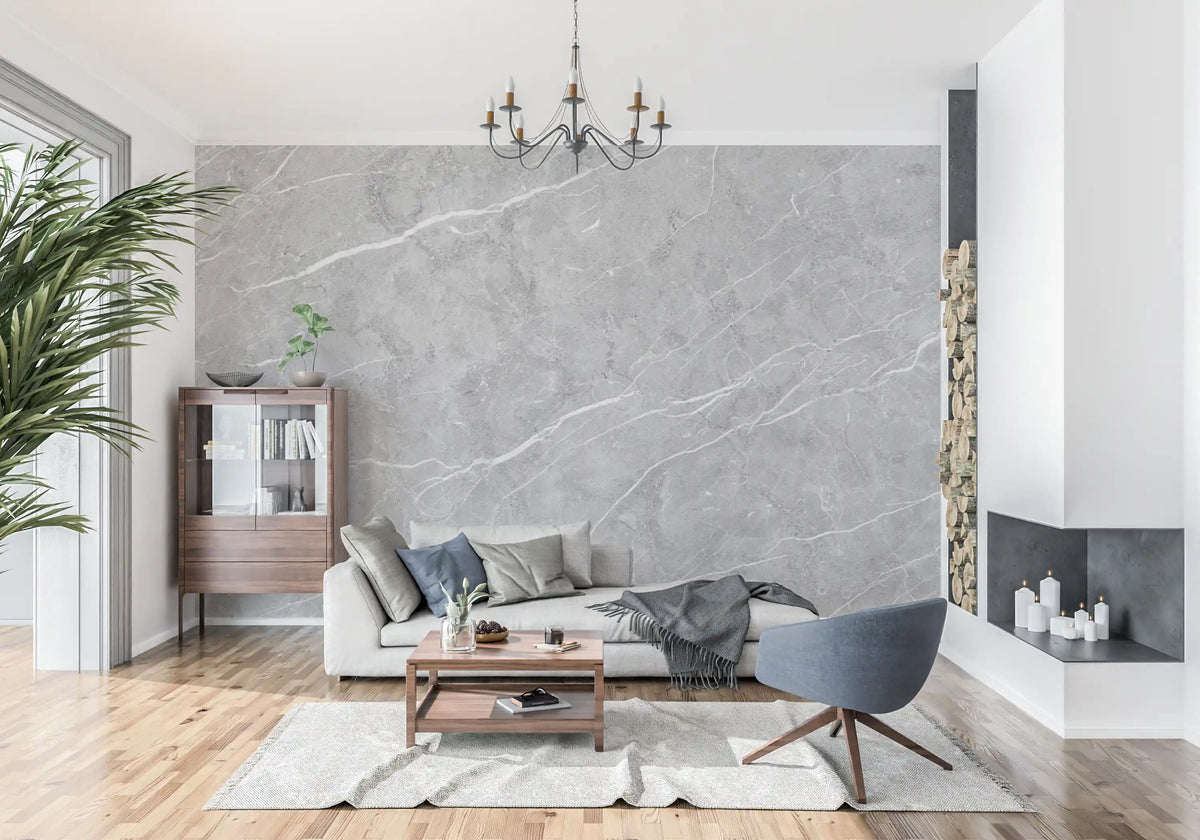 Classic Grey Marble Vein Wall Mural