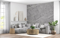 Classic Grey Marble Vein Wall Mural