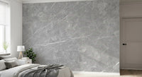 Classic Grey Veined Marble Wall Mural