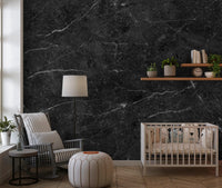 Midnight Slate Veined Marble Wall Mural