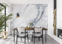 Classic White and Grey Marble Veins Wall Mural