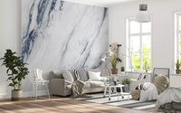 Classic Blue and White Marble Veins Wall Mural