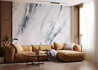 Classic Blue and White Marble Veins Wall Mural