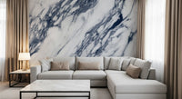 Monochrome Marble Vein Texture Wall Mural