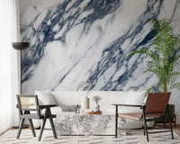 Monochrome Marble Vein Texture Wall Mural