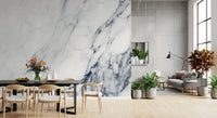 Classic Blue and White Marble Veining Wall Mural