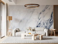 Classic Blue and White Marble Veining Wall Mural