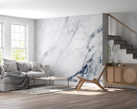 Classic Blue and White Marble Veining Wall Mural