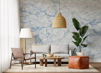 Cool Blue Marble Vein Wall Mural