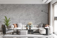 Minimalist Light Gray Veined Marble Texture Wall Mural