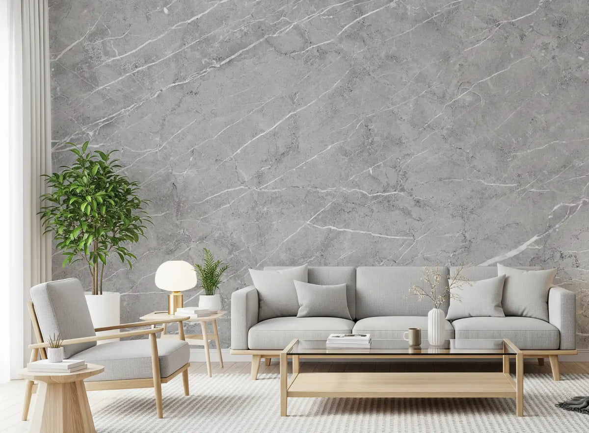 Minimalist Cool Grey Stone Texture Wall Mural