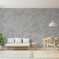 Minimalist Cool Grey Stone Texture Wall Mural