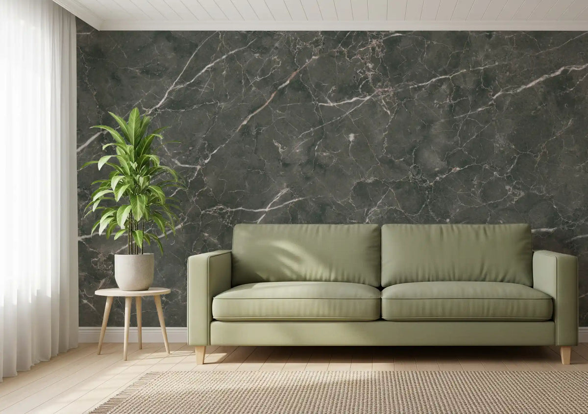 Dark Charcoal Marble Vein Texture Wall Mural