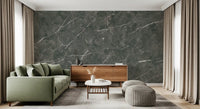 Dark Charcoal Marble Vein Texture Wall Mural