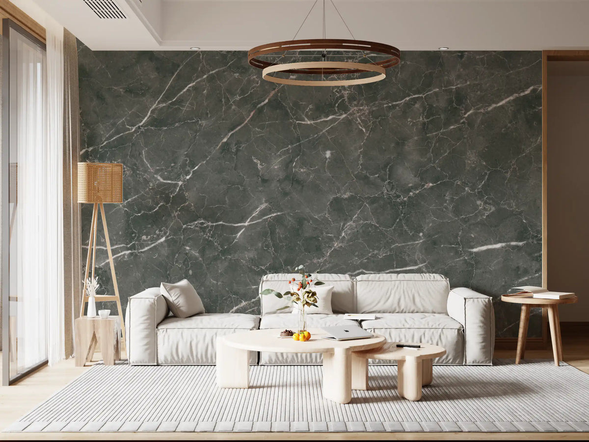 Dark Charcoal Marble Vein Texture Wall Mural