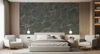 Dark Charcoal Marble Vein Texture Wall Mural