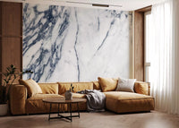 Classic Navy and White Marble Veins Wall Mural