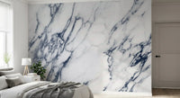 Classic White and Blue Veined Marble Wall Mural