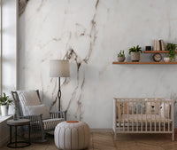 Monochrome Marble Veining Wall Mural