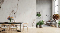 Monochrome Marble Veining Wall Mural