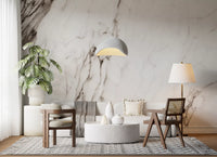 Monochrome Marble Veining Wall Mural