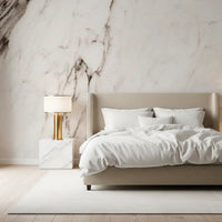 Monochrome Marble Veining Wall Mural