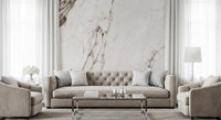 Monochrome Marble Veining Wall Mural
