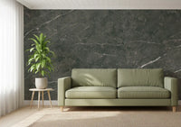 Charcoal Veined Stone Texture Wall Mural