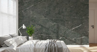 Charcoal Veined Stone Texture Wall Mural