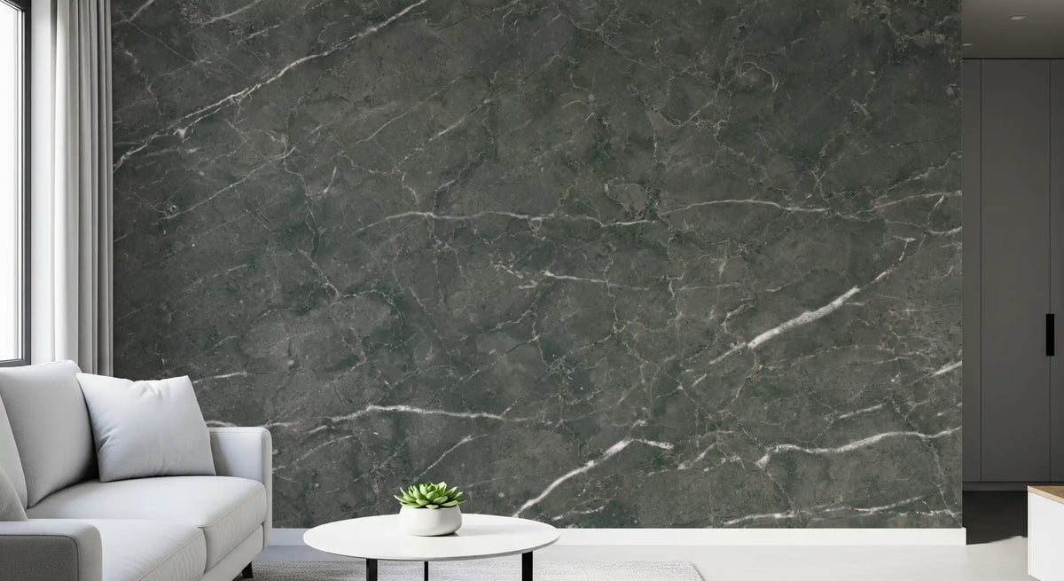 Charcoal Veined Stone Texture Wall Mural
