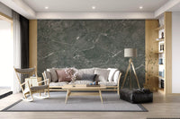Dark Charcoal Marble Vein Wall Mural