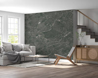 Dark Charcoal Marble Vein Wall Mural