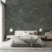 Dark Charcoal Marble Vein Wall Mural