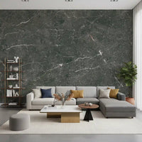 Charcoal Stone Vein Wall Mural