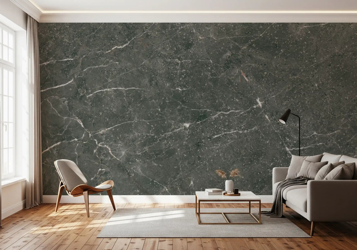 Charcoal Stone Vein Wall Mural