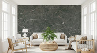 Charcoal Stone Vein Wall Mural