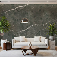 Dark Charcoal Marble Stone Texture Wall Mural