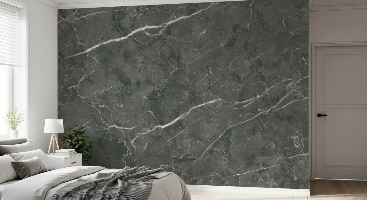 Charcoal Stone Vein Texture Wall Mural