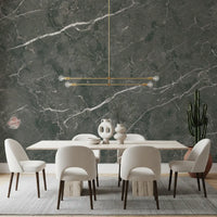 Charcoal Stone Vein Texture Wall Mural