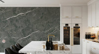 Charcoal Stone Vein Texture Wall Mural
