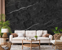 Midnight Stone Vein Texture Wall Mural